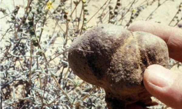 有個(gè)國(guó)家很小，卻足而讓人仰視，這便是以色列！